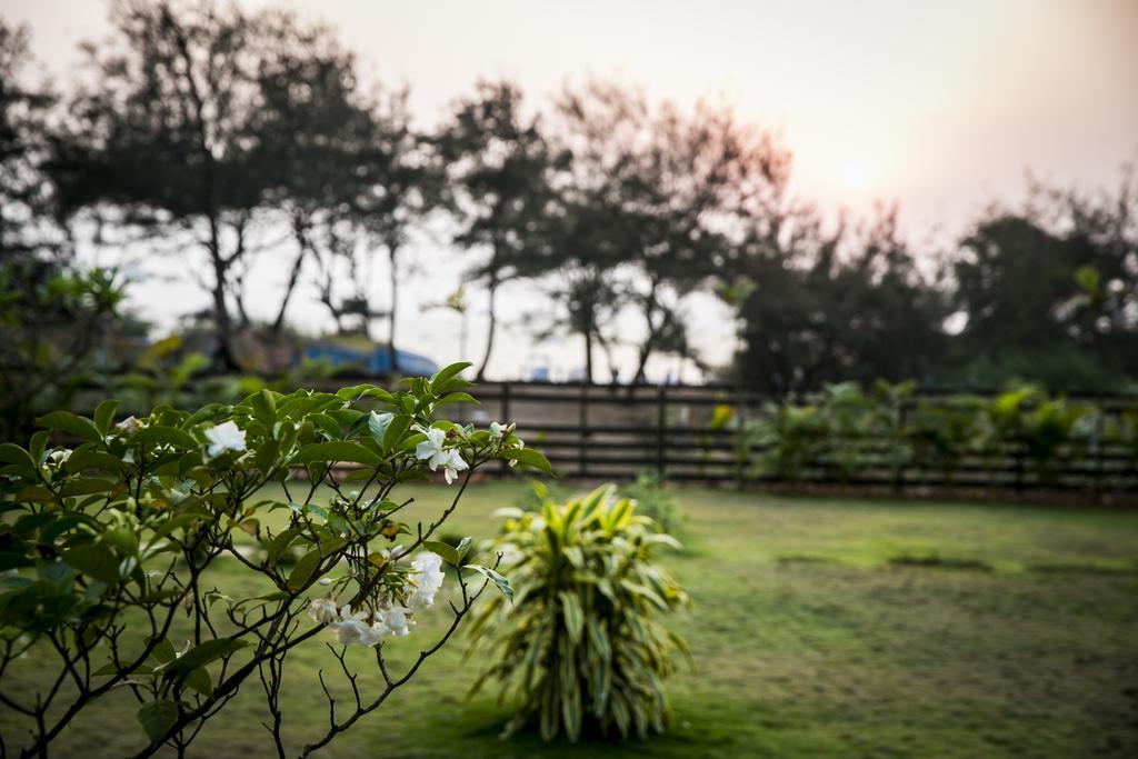 Casa Cubo By The Beach Bed and Breakfast Calangute Buitenkant foto